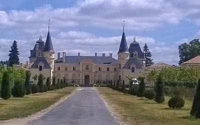 Alley leading to a chateau in the Bordeaux region